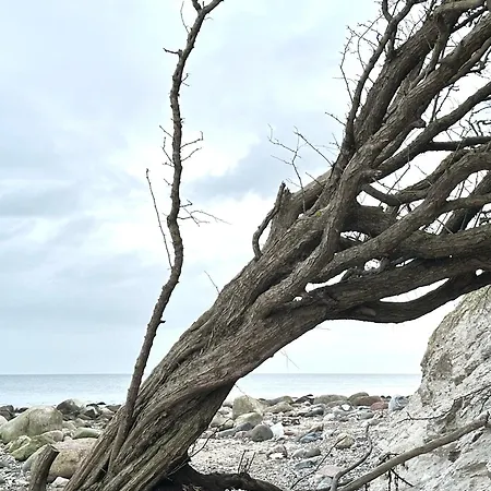아파트 Moderne In Strandnaehe - Urlaubstraeume Am Neue Tiefe Fehmarn