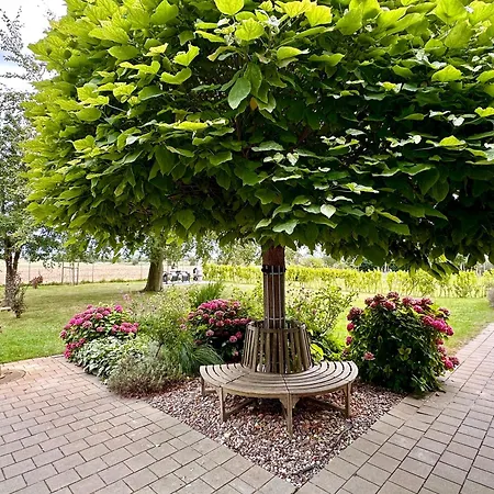 Moderne In Strandnaehe - Urlaubstraeume Am