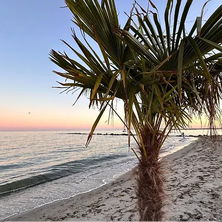 Moderne In Strandnaehe - Urlaubstraeume Am Neue Tiefe Fehmarn